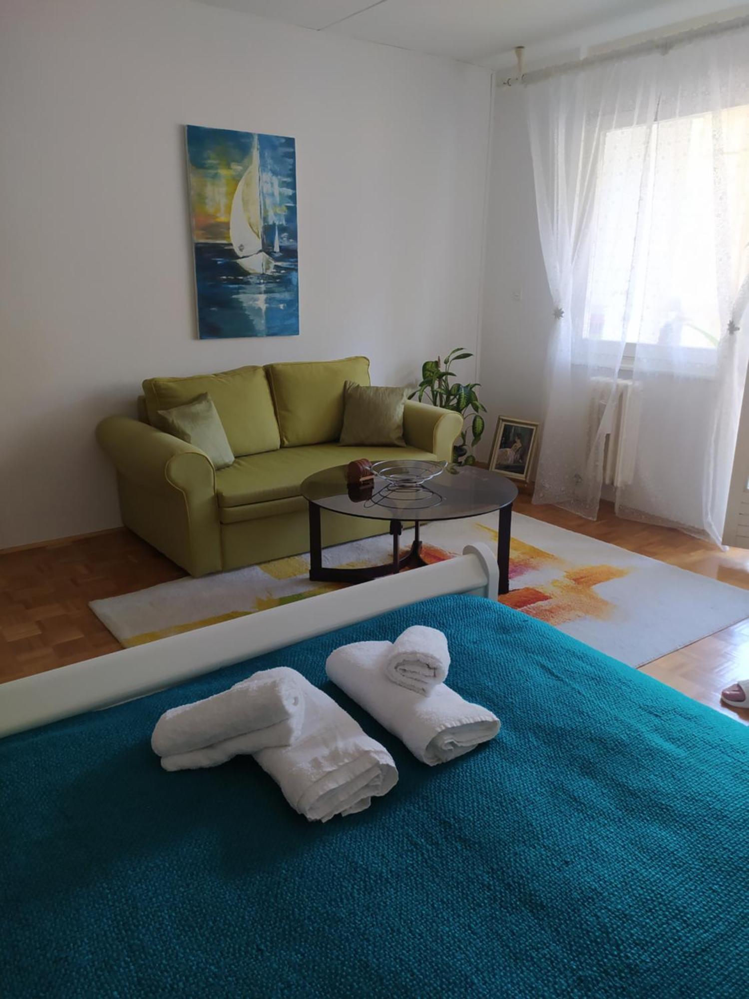Alea Studio Apartment&Garage In The Heart Of Сараево Екстериор снимка